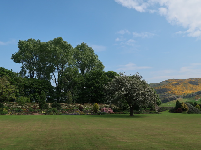 Holyrood Park in Edinburgh (1. Juni)