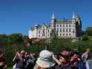 Dunrobin Castle: Falconry (28. Mai)