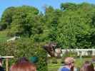 Dunrobin Castle: Falconry (28. Mai)