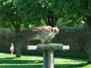 Dunrobin Castle: Falconry (28. Mai)