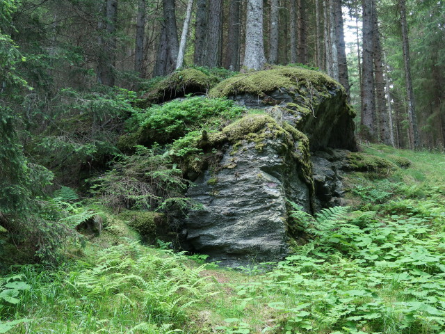 zwischen Heiligwasser und Patscher Alm (9. Juni)