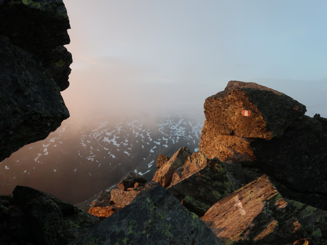 Glungezer-Geier-Steig auf der Gamslahnerspitze, 2.681 m (10. Juni)