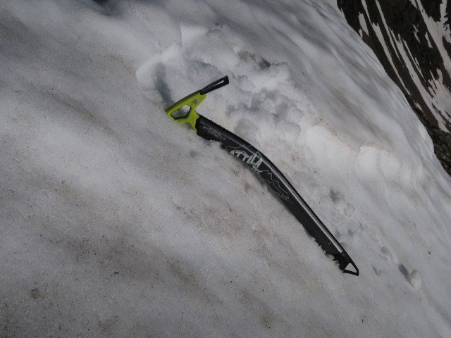 Rosenjoch, 2.796 m (10. Juni)