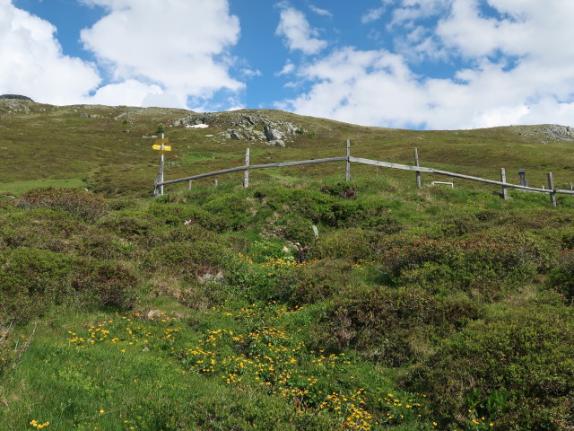 neben Weg 19 zwischen Misljoch und Isslboden (10. Juni)