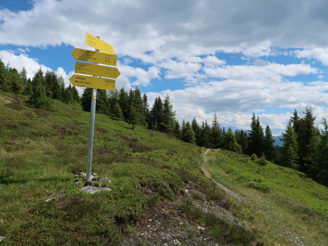 Weg 19 zwischen Misljoch und Isslboden (10. Juni)