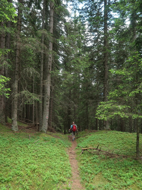 Christoph am Weg 19 am Schöfner Berg (10. Juni)