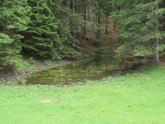 Untersee (10. Juni)