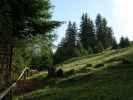 zwischen Heiligwasser und Patscher Alm (9. Juni)