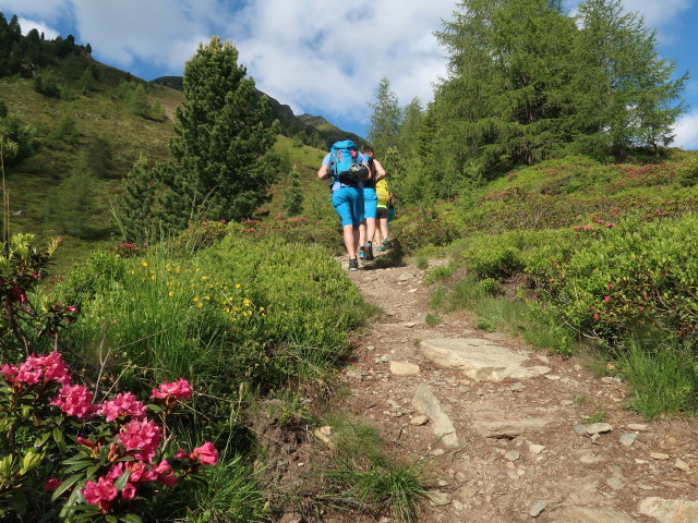 Daniel, Christian, Sigrid und Leonie am Weg 27 zwischen Michlreis-Alm und Speikboden