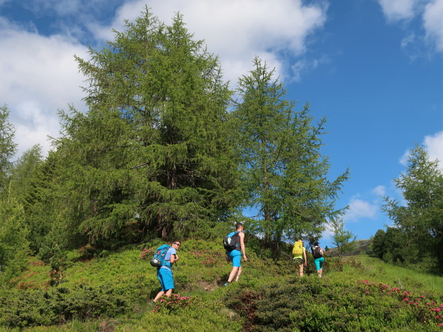 Daniel, Christian, Sigrid und Leonie am Weg 27 zwischen Michlreis-Alm und Speikboden