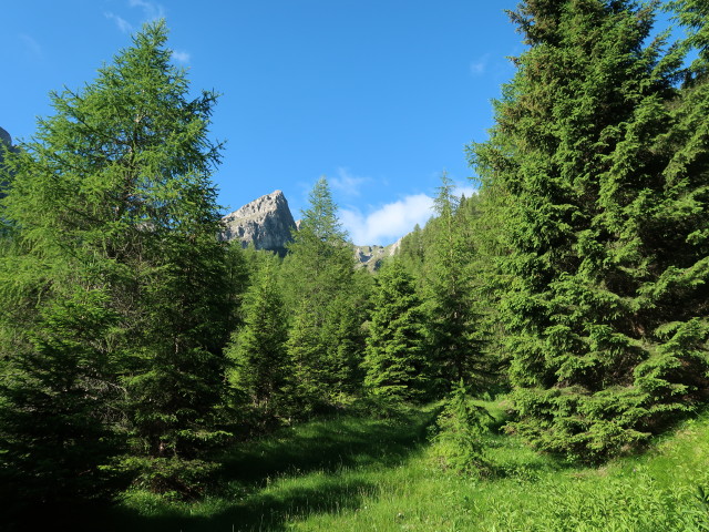 Weg 34A im Schleyergraben