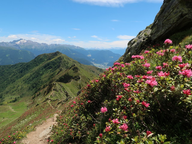 Weg 23 zwischen Telfer Weißen und Ochsenscharte