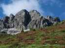 neben Weg 34A zwischen Edelweißhütte und Lotterscharte