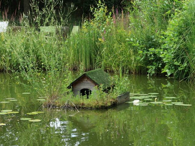 Biotop Teich erleben