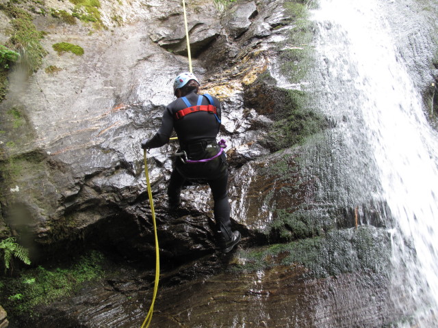 Ulrike im Polinikfall