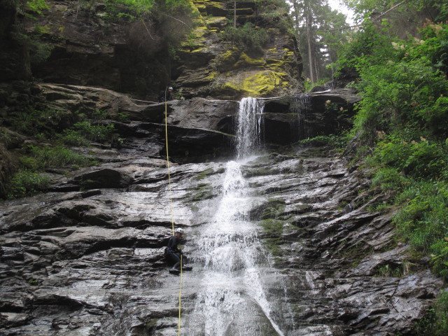 Sonja im Polinikfall