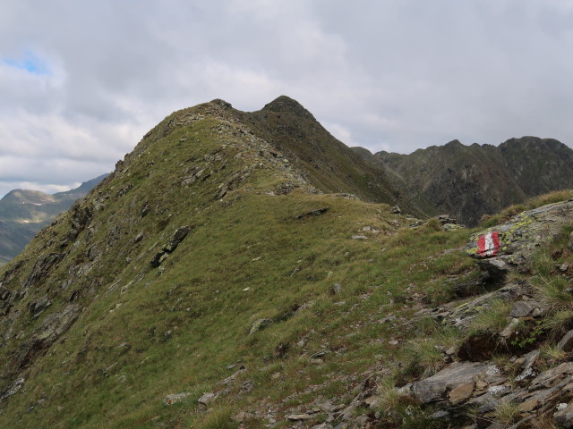 Weg 324 am Villgrater Joch (7. Juli)