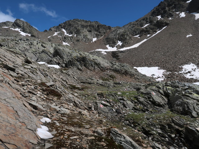 Weg 55 zwischen Geigensee und Hochegg (7. Juli)