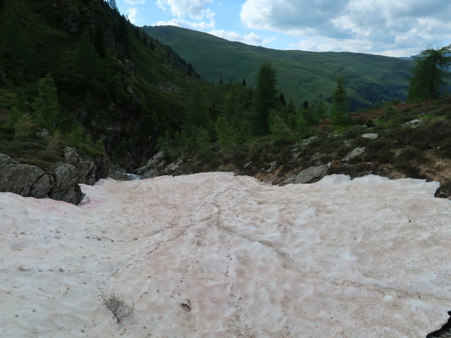 Fenstersteig (7. Juli)
