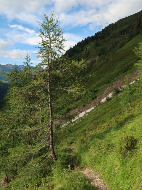 Fenstersteig (7. Juli)