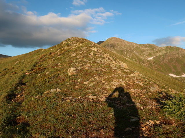 Weg 60 zwischen Zeigerle und Gagenh&ouml;he (8. Juli)