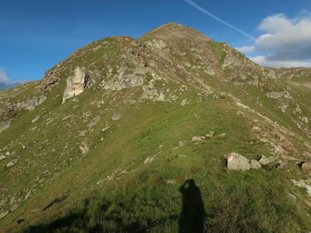 Weg 60 zwischen Gagenh&ouml;he und R&ouml;te (8. Juli)