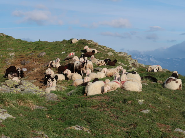 Weg 60 zwischen Gagenh&ouml;he und R&ouml;te (8. Juli)