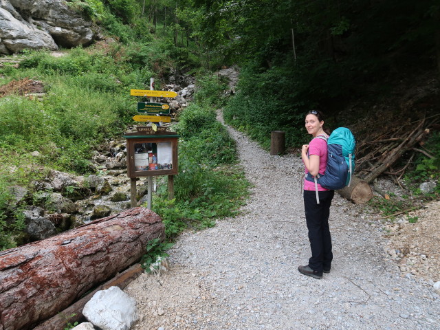 Sabine beim Weichtalhaus, 547 m