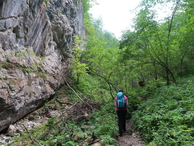 Sabine in der Weichtalklamm