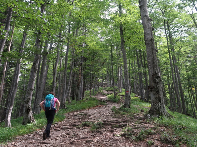 Sabine zwischen Jakobsquelle und Kienthaler Hütte