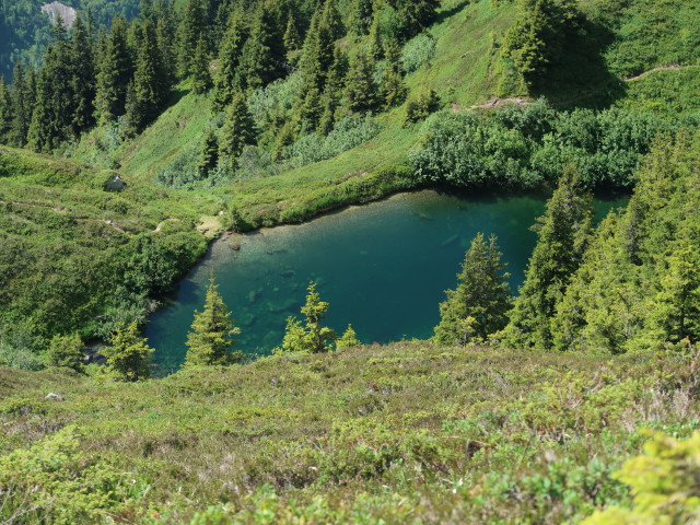 Gruebenseeli, 1.915 m (27. Juli)