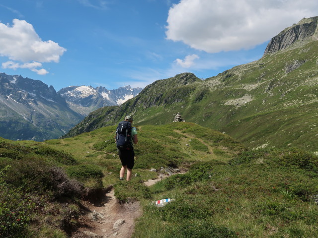 Marisa zwischen Salbithütte und Salbitbrücke (27. Juli)