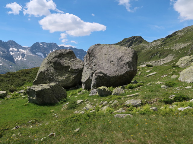 zwischen Salbithütte und Salbitbrücke (27. Juli)