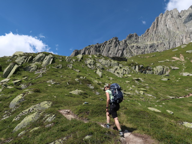 Marisa zwischen Salbithütte und Salbitbrücke (27. Juli)
