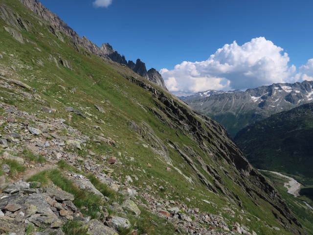 zwischen Chüeplanggenchelen und Flüestafel (27. Juli)