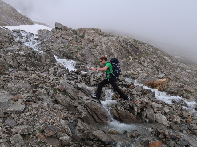 Marisa zwischen Hinter Mur und Chelenalphütte (28. Juli)