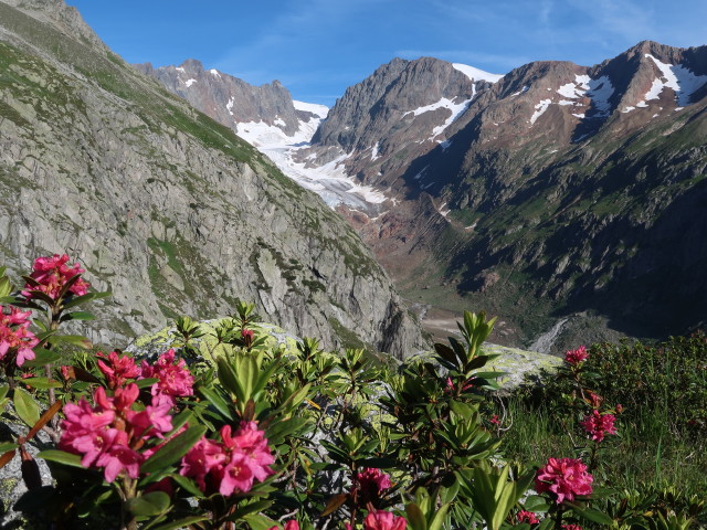 Chelenalptal (29. Juli)