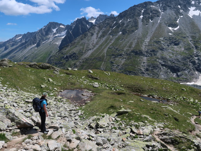 Marisa zwischen Dammahütte und Dammareuss (29. Juli)