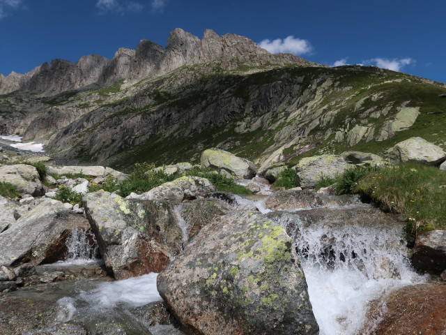 zwischen Dammahütte und Dammareuss (29. Juli)