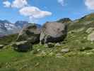 zwischen Salbithütte und Salbitbrücke (27. Juli)