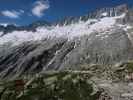 Dammagletscher von der Dammahütte aus (29. Juli)