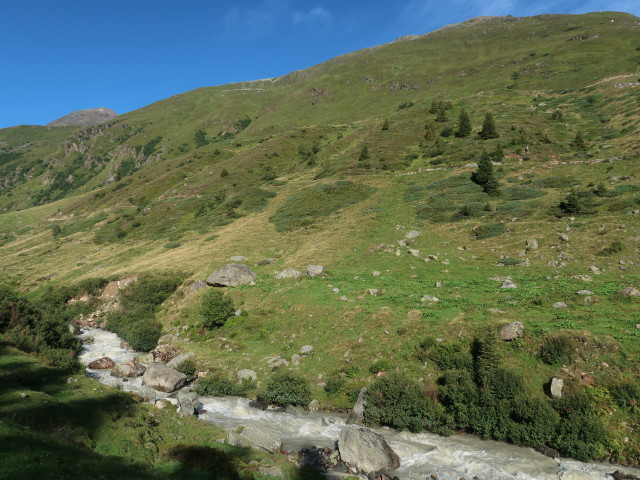 Taschachbach (3. Aug.)