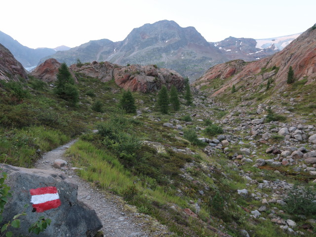 Weg 32 zwischen Gepatschbach und Vorderer N&ouml;rderberg (5. Aug.)