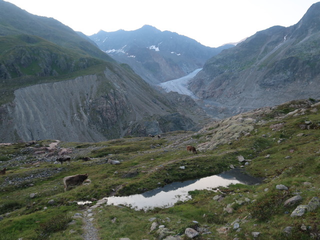 Weg 32 zwischen Gepatschbach und Vorderer N&ouml;rderberg (5. Aug.)
