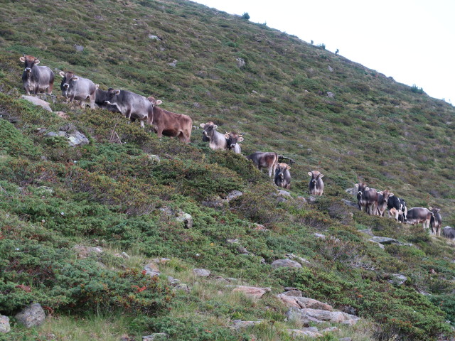 Vorderer N&ouml;rderberg (5. Aug.)