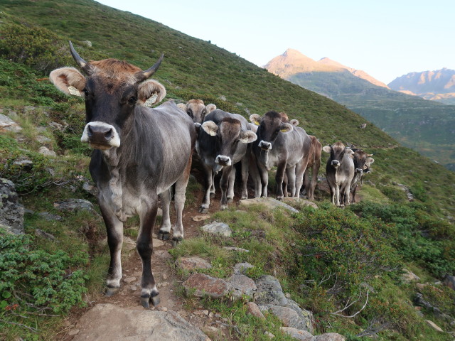 Vorderer N&ouml;rderberg (5. Aug.)