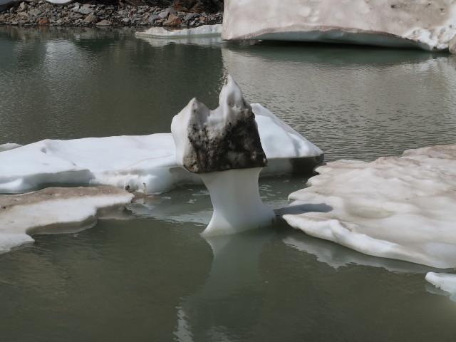zwischen Firmisanjoch und Ramolhaus (12. Aug.)