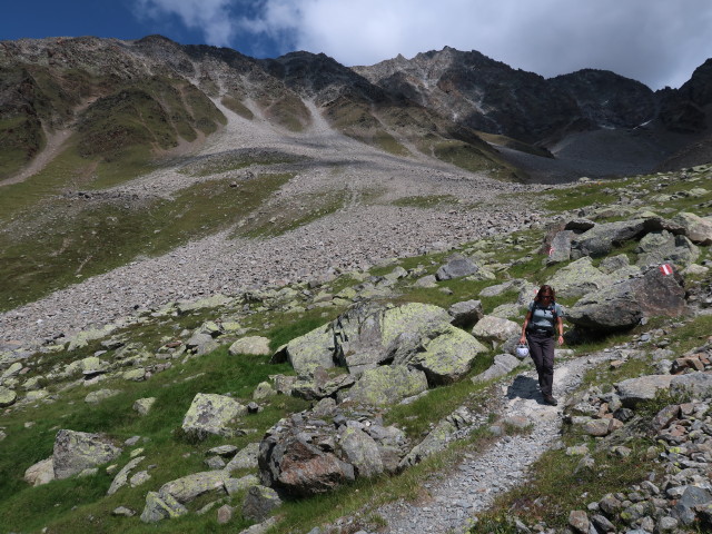 Bernadette am Weg 911 zwischen Hoher Geige und R&uuml;sselsheimer H&uuml;tte (16. Aug.)