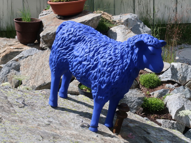 bei der R&uuml;sselsheimer H&uuml;tte, 2.328 m (16. Aug.)