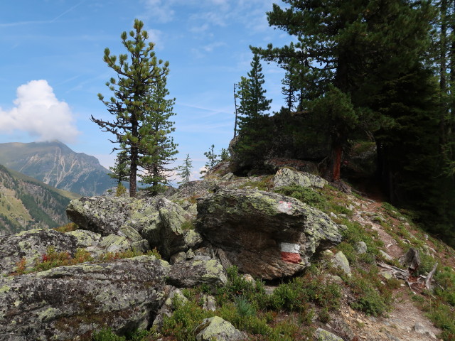 zwischen Schartle und Wenderkogel (18. Aug.)